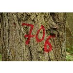 Mako Color Max Color značkovací sprej, bílá, 500 ml – HobbyKompas.cz