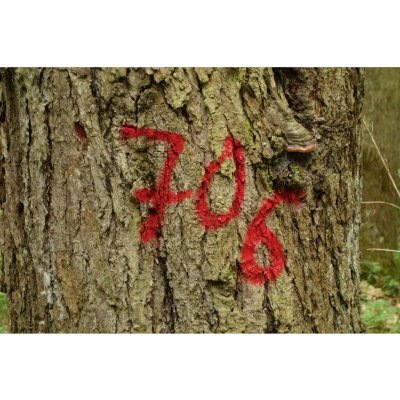 Mako Color Max Color značkovací sprej, oranžová, 500 ml – Hledejceny.cz