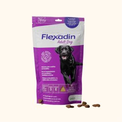 Flexadin Adult Dog 60 tablet