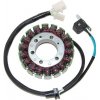 Alternátory ELECTROSPORT vinutí alternátoru (stator) YAMAHA YZF 600R THUNDER CAT (95-07) (ESG770)