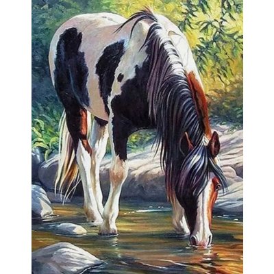 NORIMPEX Diamantové malování Kůň v řece 30 x 40 cm – Sleviste.cz