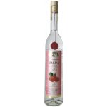 Fleret Collection 1850 Maliny z Beskyd 42% 0,5 l (holá láhev) – Sleviste.cz