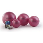 Ledragomma Gymnastik Ball Maxafe 53 cm – Zbozi.Blesk.cz