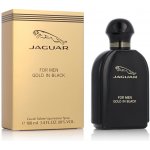 Jaguar Gold In Black toaletní voda pánská 100 ml – Hledejceny.cz