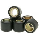 Válečky variátoru 101 Octane Varianta: 19x14 - 12,00g - 6ks 12700-MF1914-1200 – Sleviste.cz