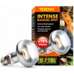 Hagen Exo Terra Intense Basking Spot 100 W – Hledejceny.cz