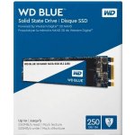 WD Blue 250GB, WDS250G2B0B – Hledejceny.cz