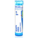AGRAPHIS NUTANS POR 9CH GRA 1X4G – Hledejceny.cz