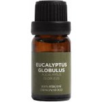 By Nefertitis Eucalyptus globulus 100% esenciální olej 10 ml – Hledejceny.cz