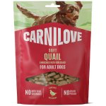 Carnilove Soft Snack Quail & Oregano 200 g – Zbozi.Blesk.cz