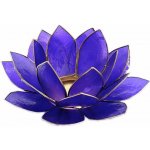 Nefertitis Svícen lotos pro čelní čakru NF6702 - cca 13,5 cm – Zboží Mobilmania