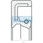 Gufero 70x100x13 MVQ-SIAS Dichtomatik | Zboží Auto