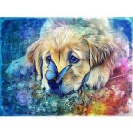 Norimpex Diamantové malování Pes s motýlem 30 x 40 cm – Sleviste.cz
