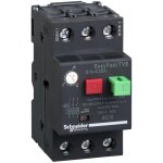 Schneider Electric GZ1E22 20,0 -25A – Hledejceny.cz