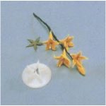 Vykrajovátko plastové - Kalich (Calyx / Jasmine) – Hledejceny.cz
