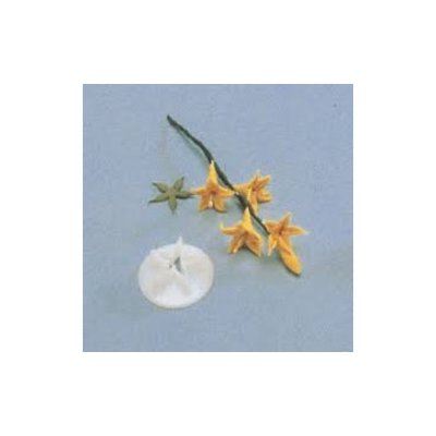 Vykrajovátko plastové - Kalich (Calyx / Jasmine) – Hledejceny.cz
