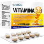 Eurowet Vitamin B12 doplňky stravy pro psy a kočky 50 tablet – Hledejceny.cz