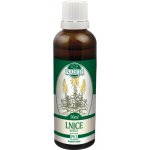 Lnice tinktura z pupenů pomáhá trávení 50 ml – Hledejceny.cz