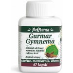 MedPharma Gurmar Gymnema 67 kapslí – Hledejceny.cz
