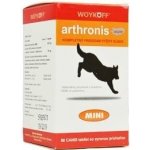 Arthronis ACUTE Mini 60 tbl – Zbozi.Blesk.cz
