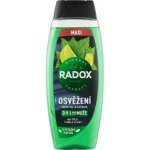 Radox Refreshment Menthol And Citrus 3-in-1 Shower Gel 450 ml – Hledejceny.cz