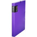 Karton P+P Opaline krabice s gumou heftbox na dokumenty fialová A4 – Hledejceny.cz
