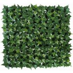 Hedera helix VG, dílec 50 x 50 cm