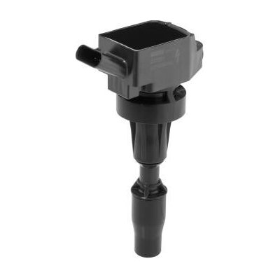 Zapalovací cívka BorgWarner (BERU) ZSE301 – Hledejceny.cz