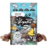 LyoPro CAT Kuřecí srdce 50 g – Zbozi.Blesk.cz