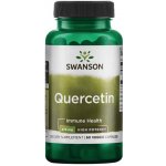 Swanson High Potency Quercetin Vyšší účinnost Quercetin 475 mg 60 rostlinných kapslí – Hledejceny.cz