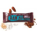 DM HERMES TRADE RAW PROTEIN COCONUT COCOA 50 g