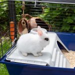 Ferplast Rabbit 120 118 x 58,5 x 51,5 cm – Zboží Mobilmania