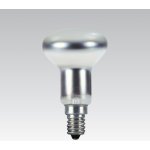 Techlamp Tes-lamp R50 230V 40W E14 clear termorezistivní – Hledejceny.cz