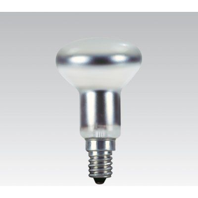 Techlamp Tes-lamp R50 230V 40W E14 clear termorezistivní – Hledejceny.cz
