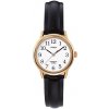 Hodinky Timex T20433