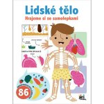 Jiri Models hrajeme si se samolepkami lidské tělo 4588-3 – Hledejceny.cz
