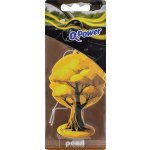 Q-Power osvěžovač vzduchu Pearl 6 g – Hledejceny.cz