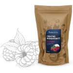 Protein&Co. Creatine monohydrate 500g – Zboží Dáma