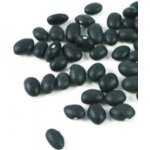 Nuevo Progreso Fazole černé suché 5 kg – Zboží Dáma