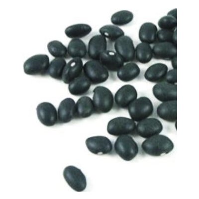 Nuevo Progreso Fazole černé suché 5 kg – Zboží Dáma