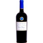 Vina Aquitania Lazuli Cabernet Sauvignon 2021 Červené 14,2% 0,75 l (holá láhev) – Hledejceny.cz