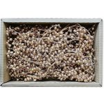 Canella Small gold 35 ks – Hledejceny.cz