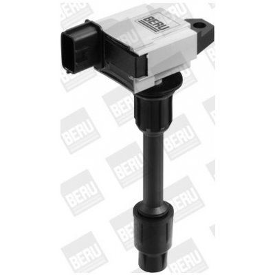 Zapalovací cívka BorgWarner (BERU) ZSE076 – Hledejceny.cz