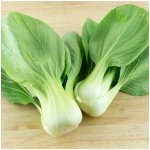 Pak Choi Shanghai - Brassica rapa chinensis - prodej semen - 200 ks – Hledejceny.cz