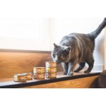 Marp Holistic Plus Tuňák se sardinkami a borůvkami v želé 70 g – Sleviste.cz