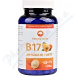 Pharma Activ Amygdalin Forte B17 45+15 kapslí – Hledejceny.cz