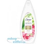 Dove Soothing Summer Ritual Aloe Vera a Voda z růží sprchový gel 500 ml – Zbozi.Blesk.cz