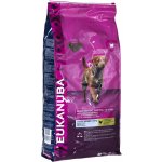 Eukanuba Adult Light Large Breed 15 kg – Zboží Mobilmania