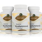 Golden Nature 2+1 Kyselina hyaluronová+Rybí kolagen+Vit. C 300 kapslí – Hledejceny.cz