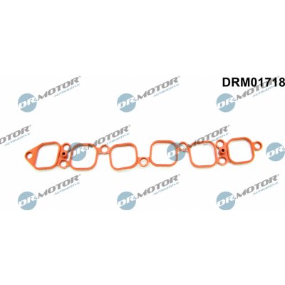 Dr.Motor Automotive DRM01718 – Hledejceny.cz